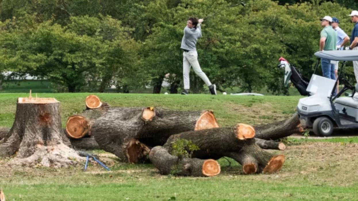 MAGA Microcosm: Golfing amidst (illegally) destroyed trees