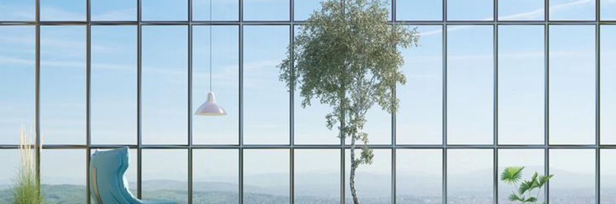 A Just Transition to a Fair and Sustainable Society or Healthy Green Growth?