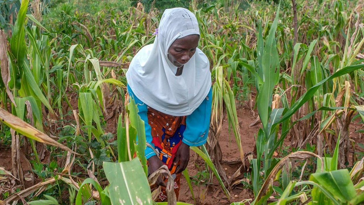 Malawi-Farmer