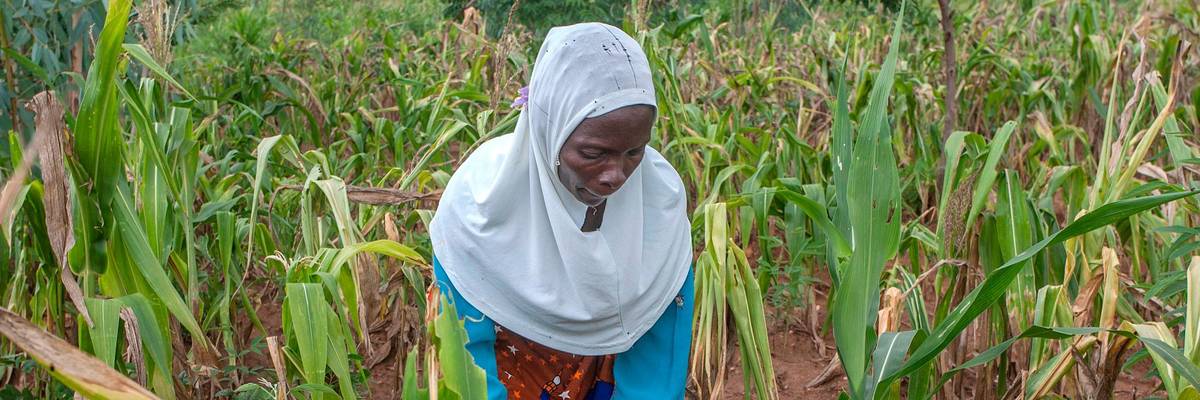 Malawi farmer