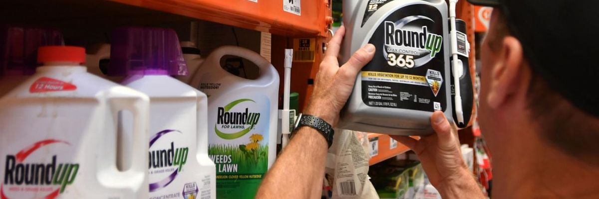 Man looking at Roundup in a hardware store.