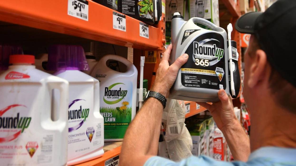 Man looking at Roundup in a hardware store.