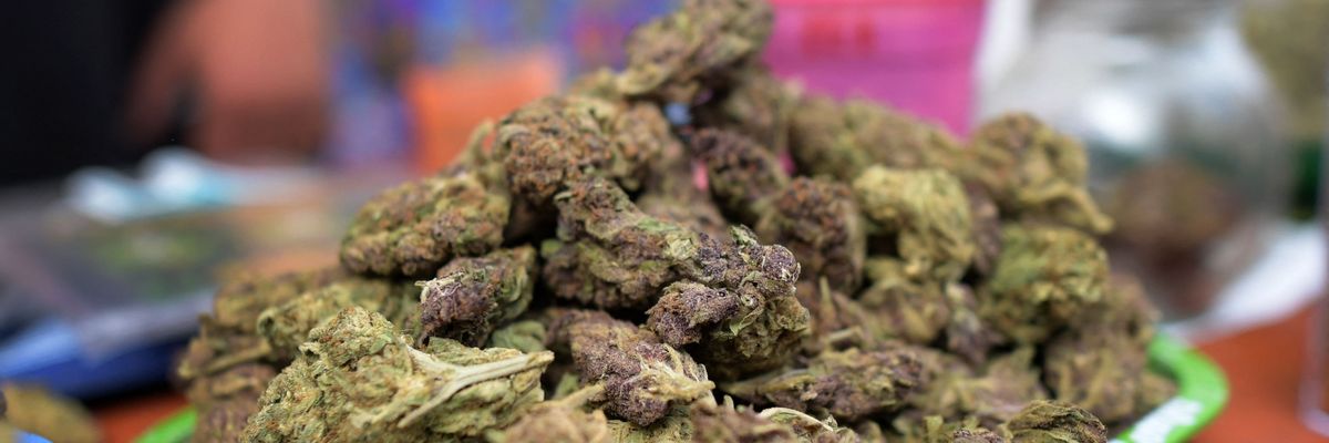 Marijuana for sale is seen during festival in Bogota, Colombia
