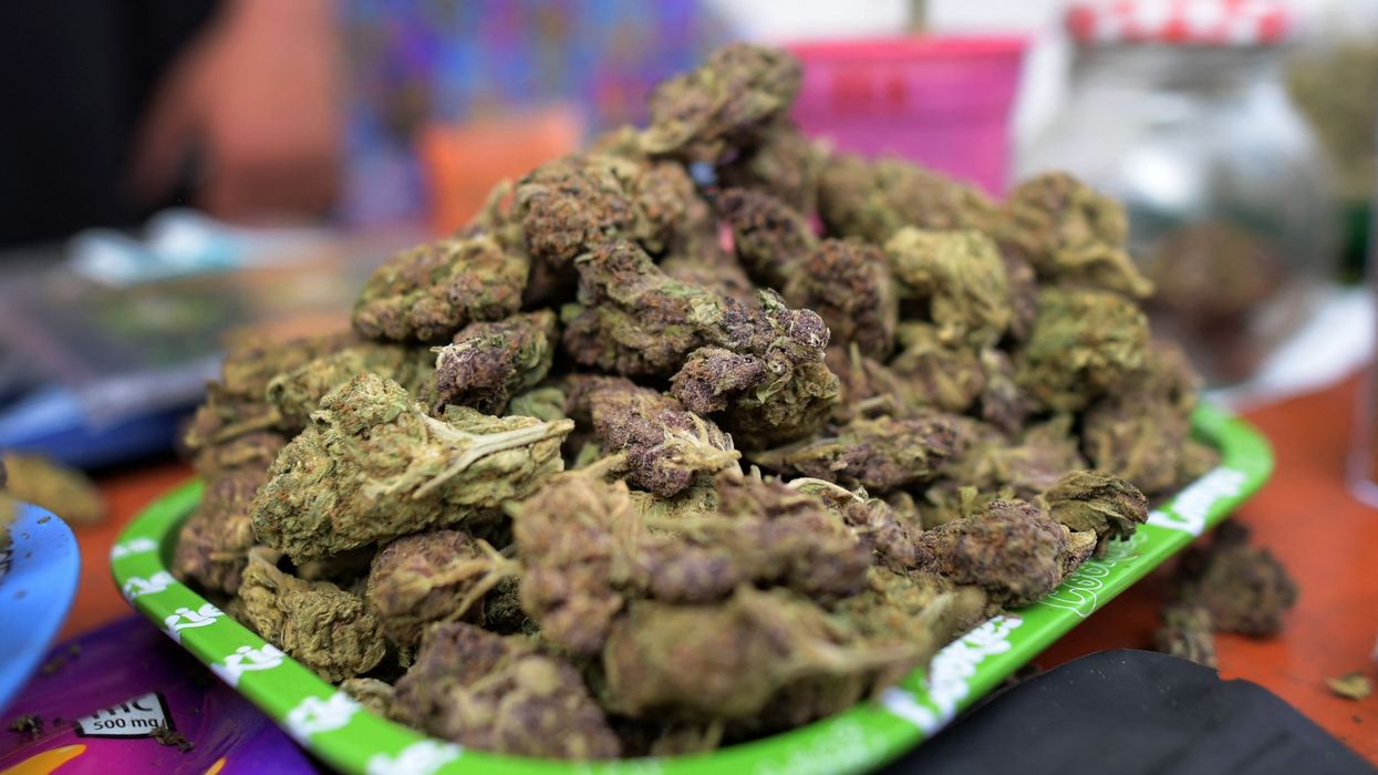 Marijuana for sale is seen during festival in Bogota, Colombia