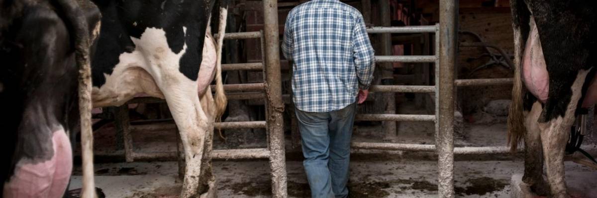 I Was Wrong About the Rural-Urban Divide