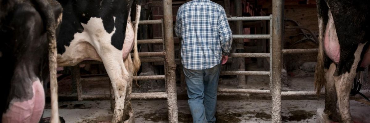 I Was Wrong About the Rural-Urban Divide