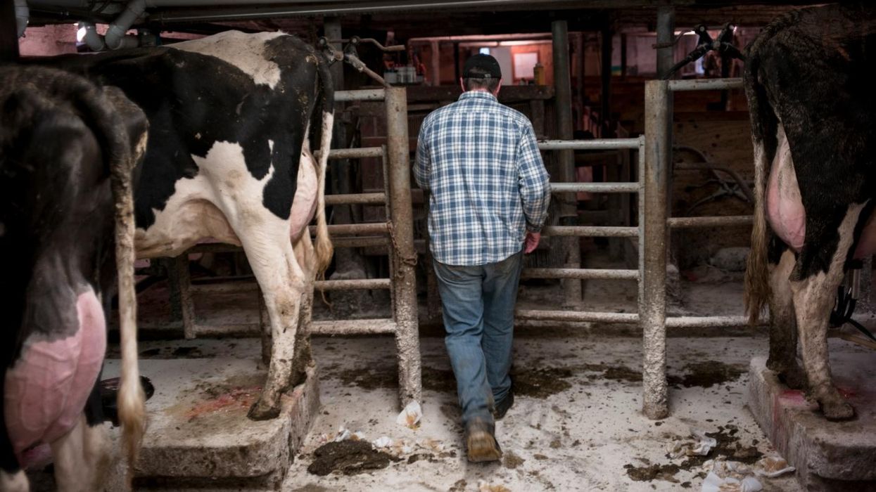 I Was Wrong About the Rural-Urban Divide