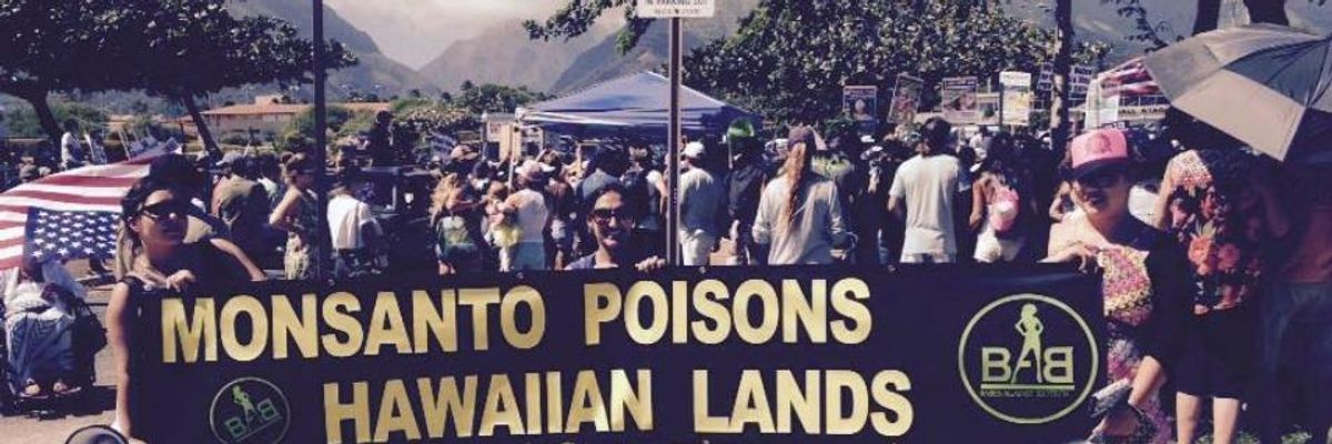 In Boon for Monsanto, Federal Judge Quashes Maui County GMO Ban