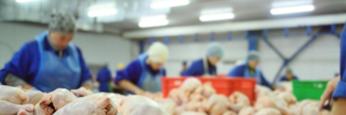 A Death Sentence for Meatpackers