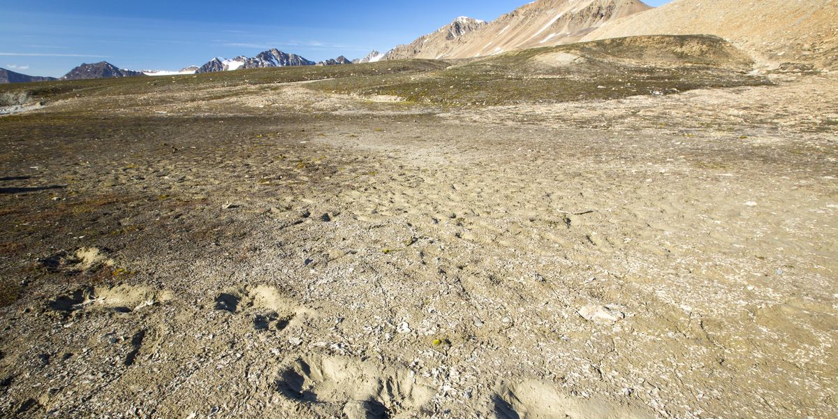 Scientists Revive 'Zombie' Virus After 50,000 Years Trapped in Siberian ...