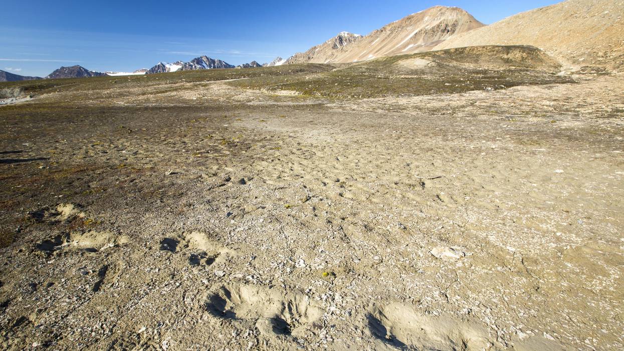 Melting permafrost