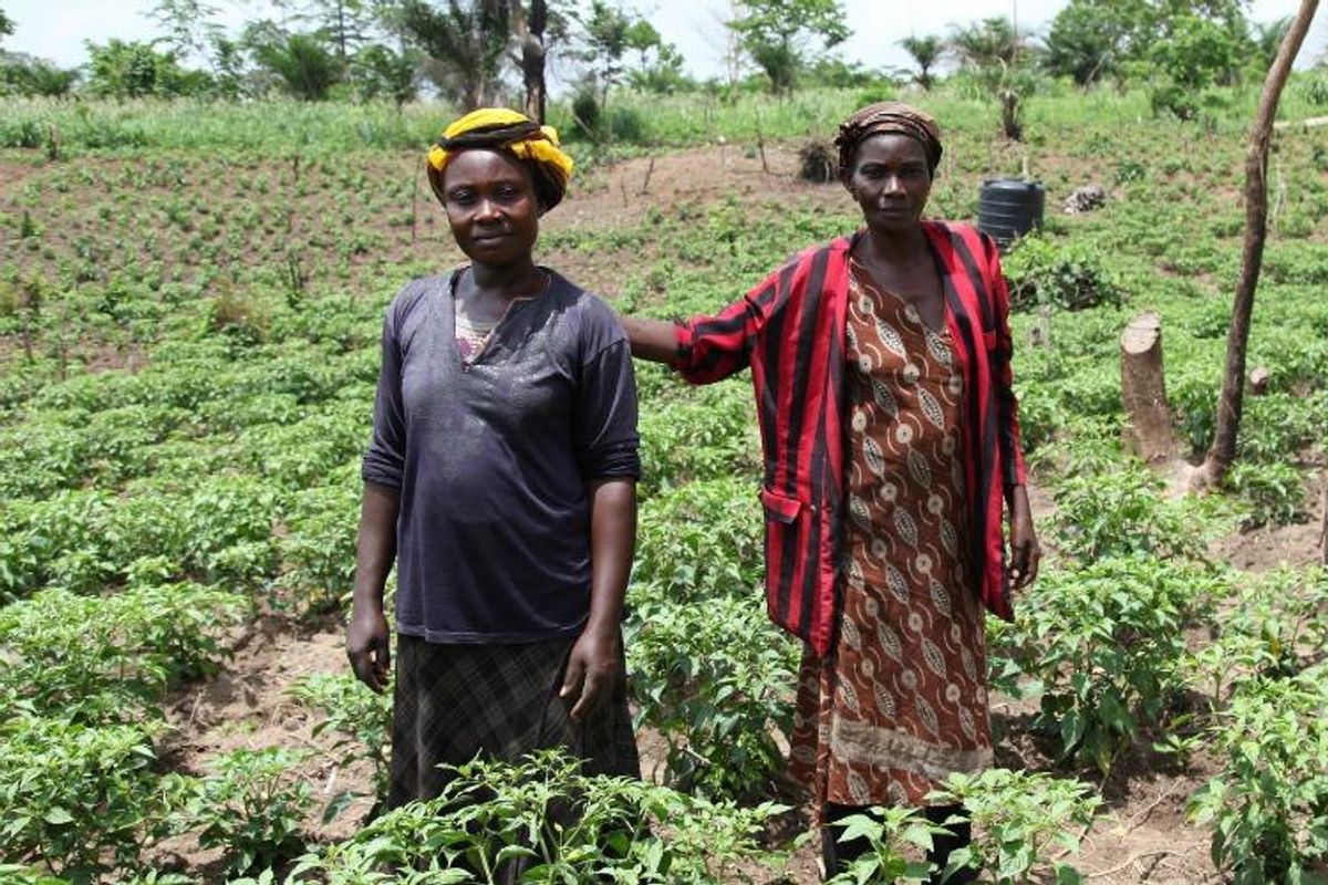 Abro Media Abro Media