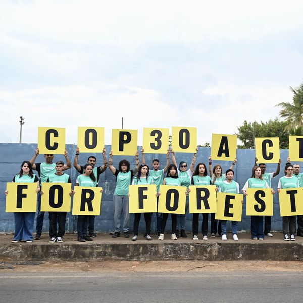 Members of Greenpeace hold sign demanding action to save the forests