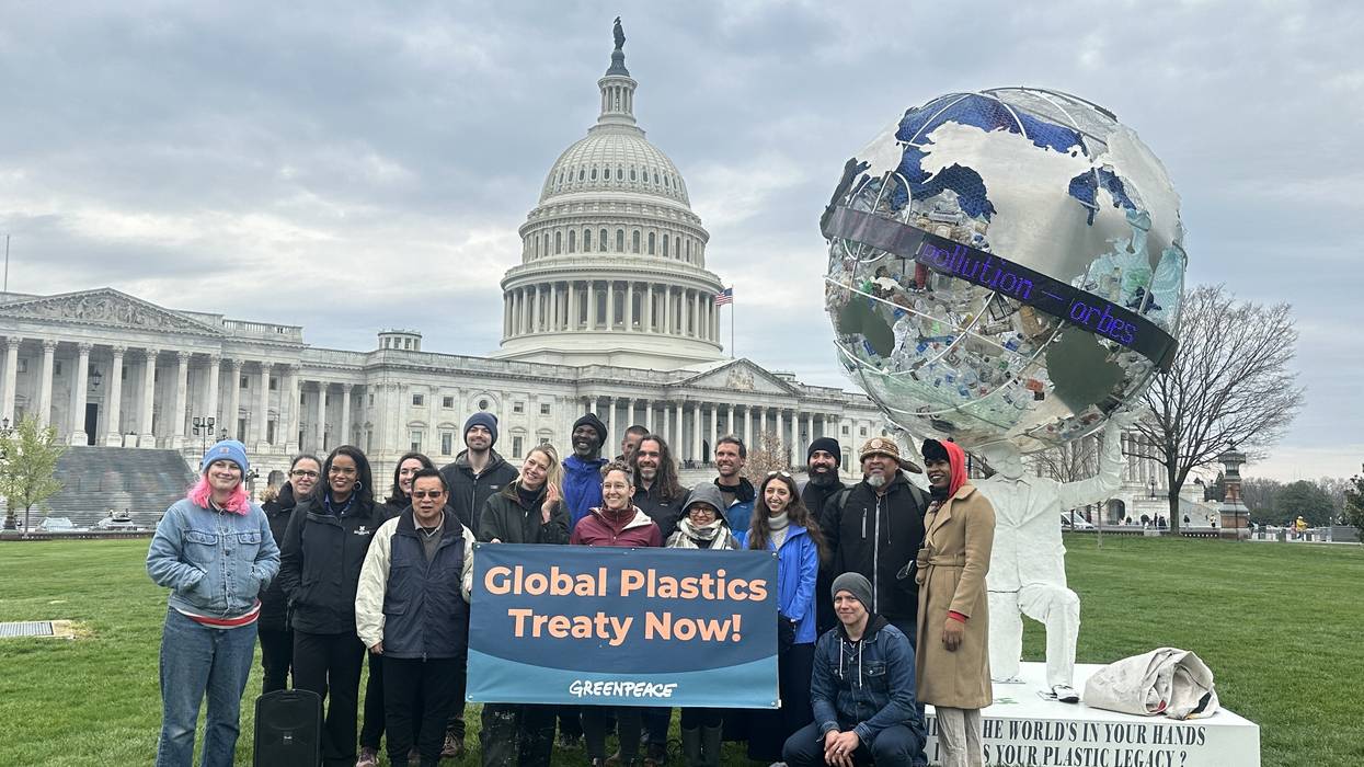 Members of Greenpeace USA and monument