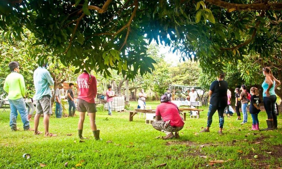 Members of the Ho'okahua Ai Mentorship Program at Kahua Pa'a Mua prepare for a Hawaiian Oli (chant), which involves asking the almighty from above and ancestors for permission and wisdom. (Photo: Malia Welch)