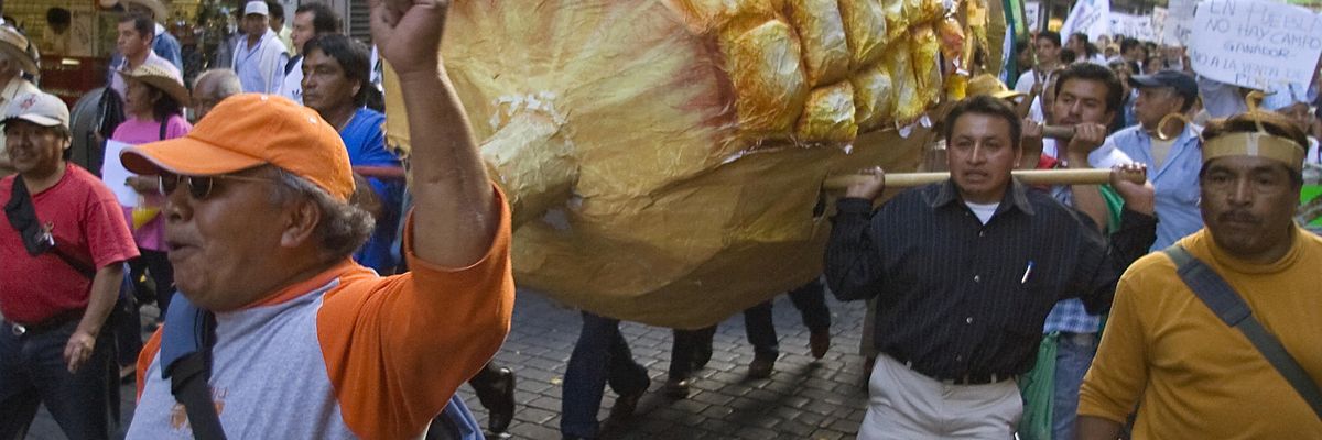 Mexican farmers take part in a march against NAFTA