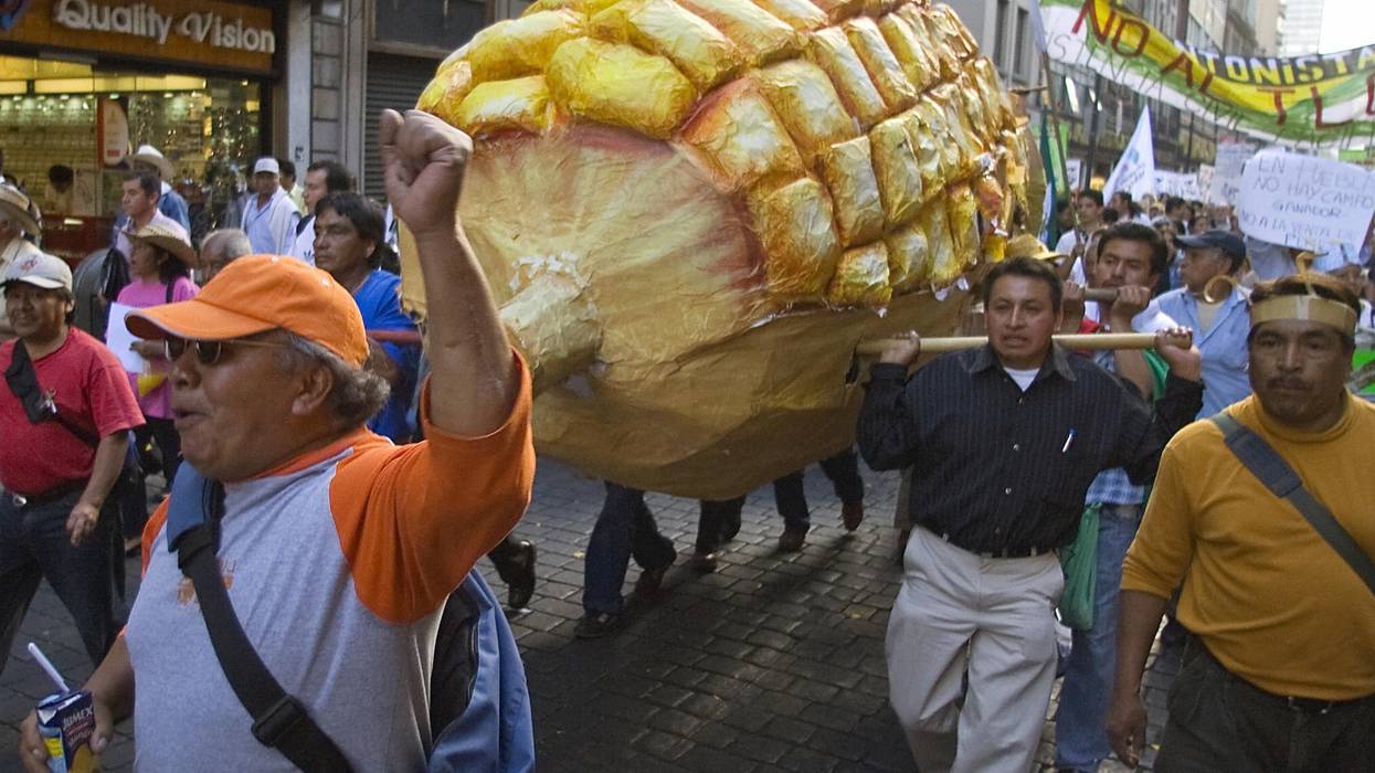 Mexican farmers take part in a march against NAFTA