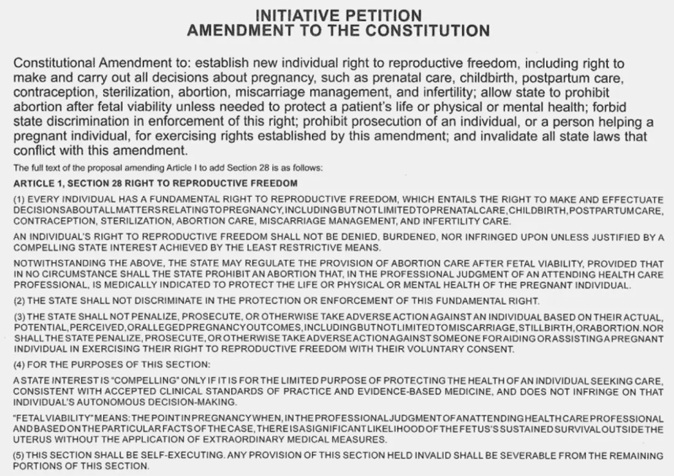Michigan abortion rights initative text