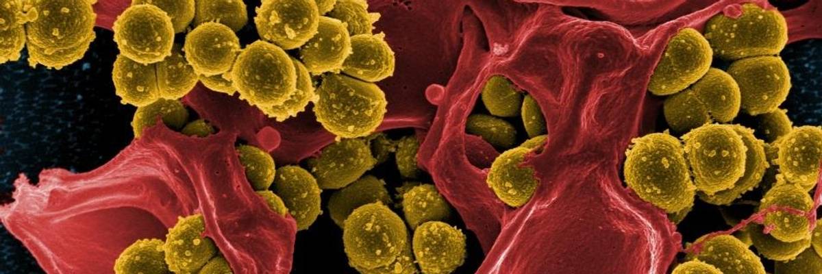 New CDC Report Raises Alarm About Growing Threat of 'Nightmare Bacteria'