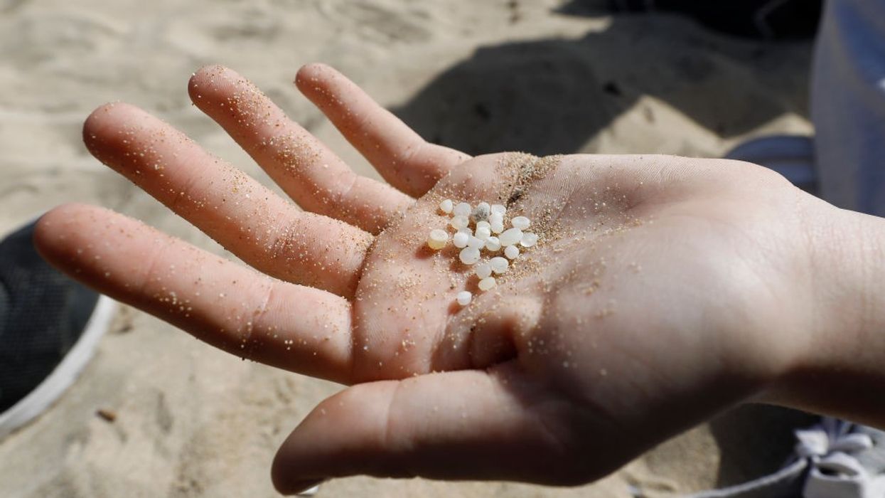 Microplastics in a hand