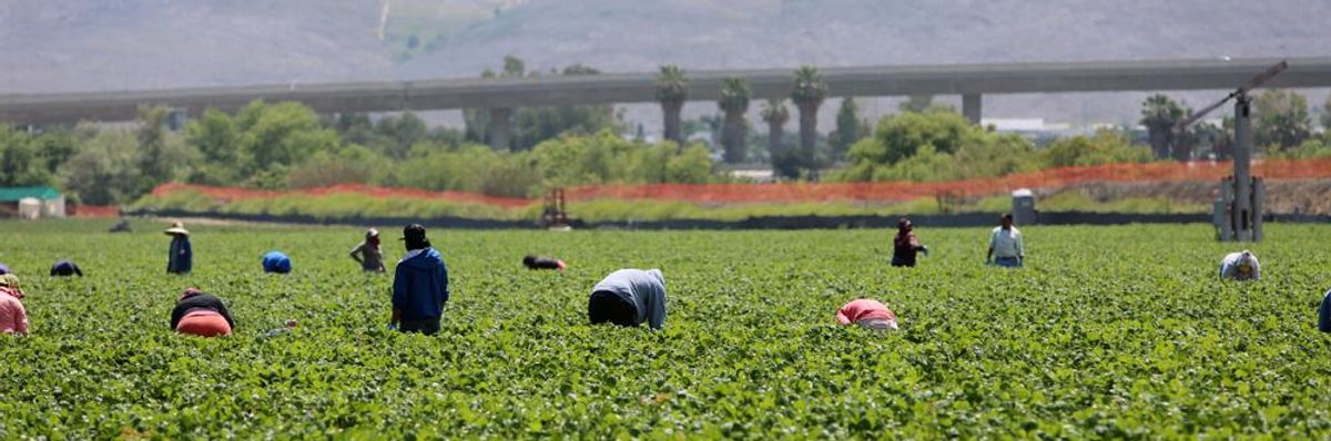 Support for Essential Labor Has Largely Excluded Migrant Women Farmworkers