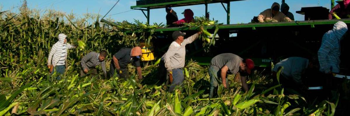 With Poorest Bearing the Brunt, Report Warns Searing Temperatures of Global Heating Could Cost World Economy $2.4 Trillion by 2030