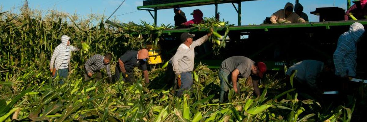 With Poorest Bearing the Brunt, Report Warns Searing Temperatures of Global Heating Could Cost World Economy $2.4 Trillion by 2030