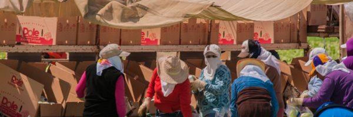 America's Farmworkers Face Poverty, Neglect, and Now Deportation
