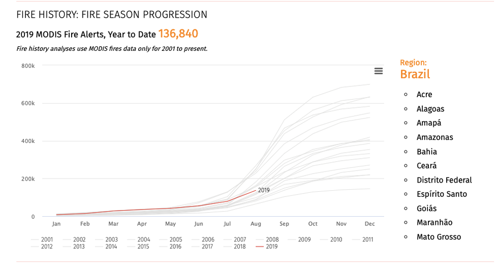 MODIS fire data presented by Global Forest Watch.