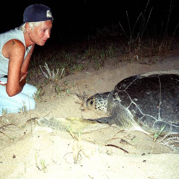 Mona Khalil with turtle