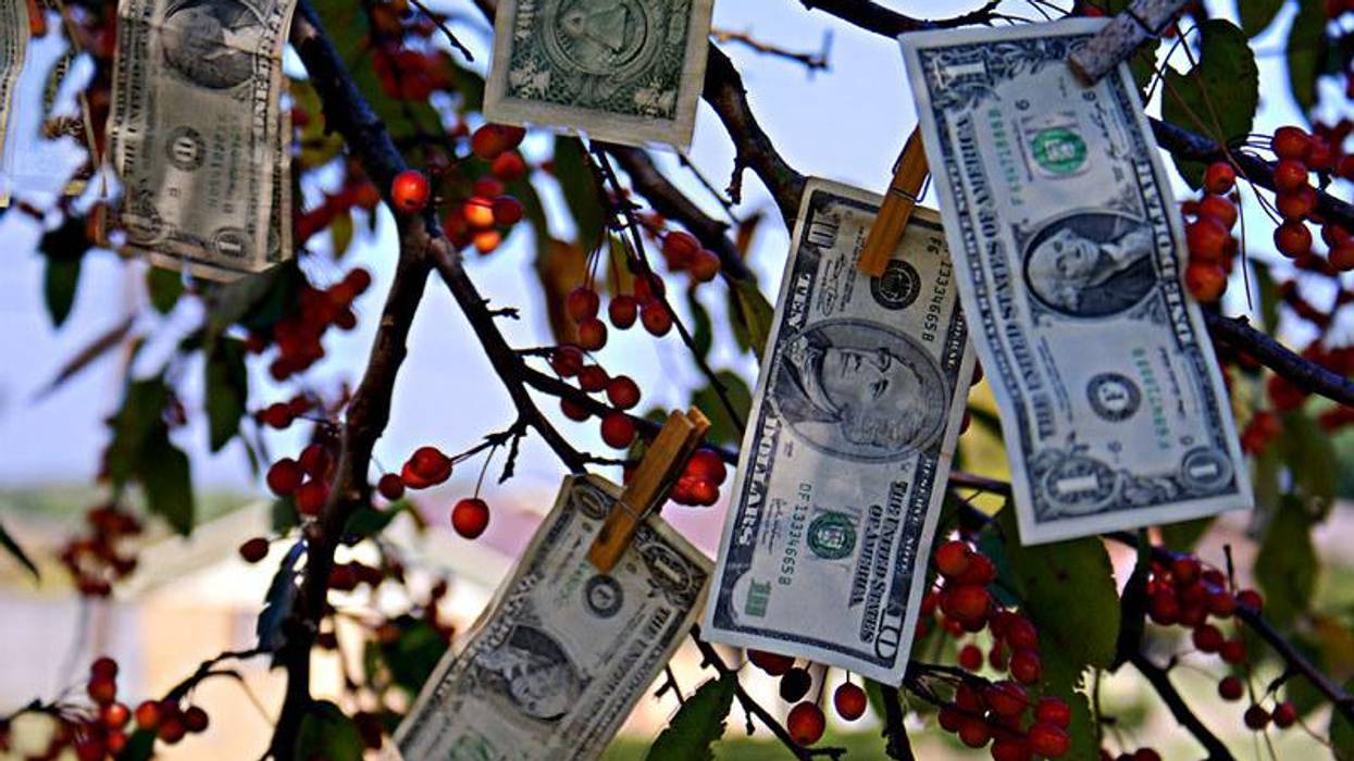 Money Tree