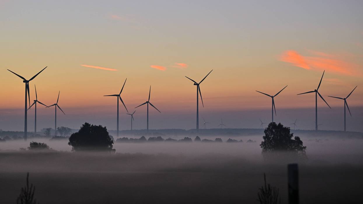 Morning Scene in Brandenburg