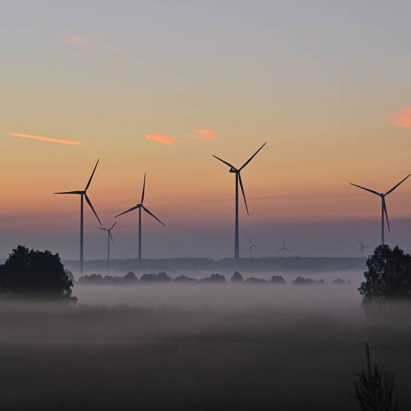 Morning Scene in Brandenburg