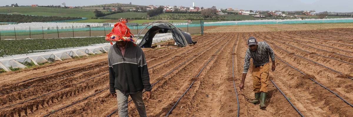 MOROCCO-AGRICULTURE
