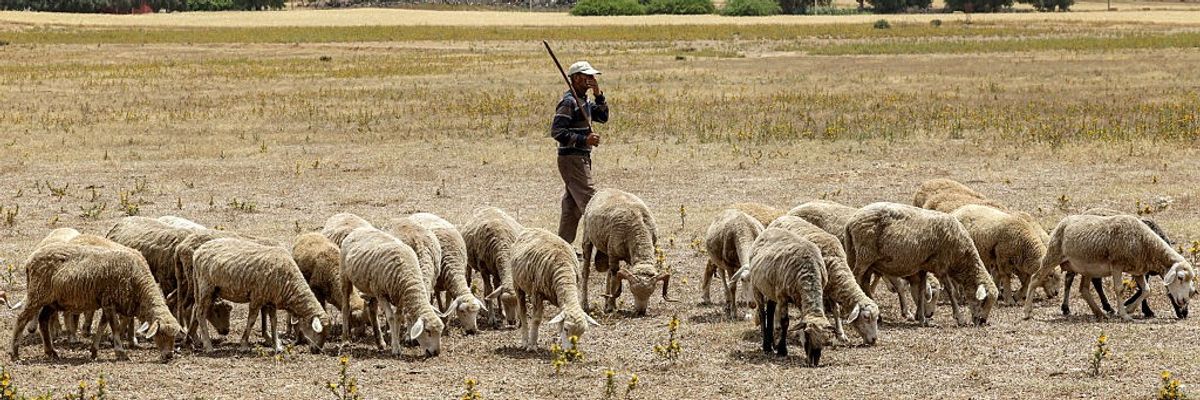 MOROCCO-RELIGION-ISLAM-EID-ADHA