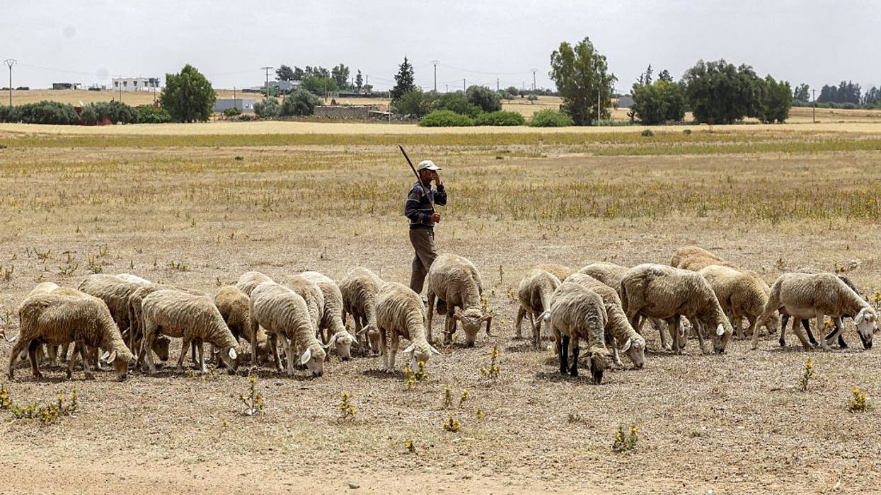 MOROCCO-RELIGION-ISLAM-EID-ADHA