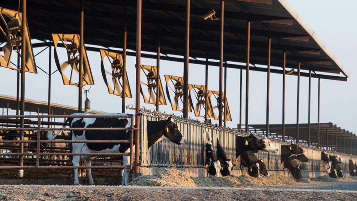 Emissions Impossible: How Big Meat and Dairy Are Heating Up the Planet