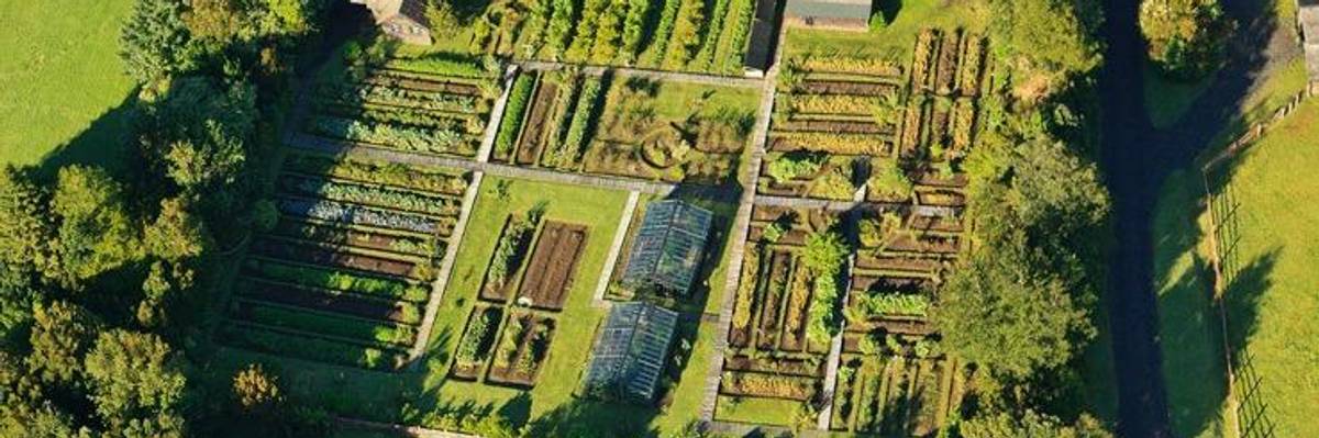 Farming for a Small Planet