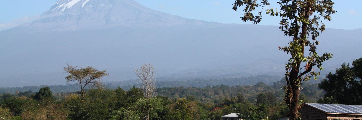 Mount Kilimanjaro seen from Honeybadger Lodge, Moshi, Tanzania