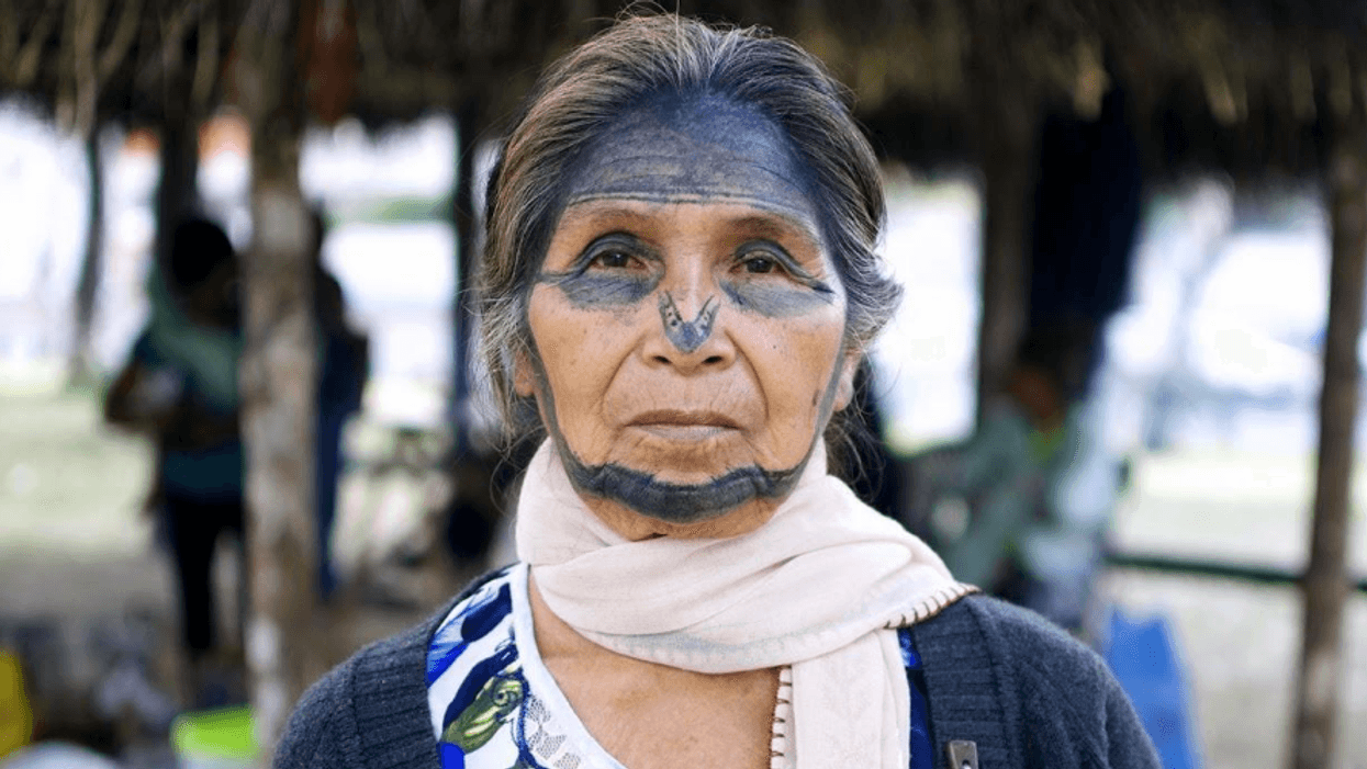 Narcisa Gualinga
