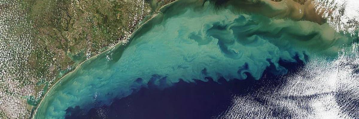 Scientists Warn Summer 'Dead Zone' in Gulf of Mexico Could Span 'Roughly the Size of Massachusetts'