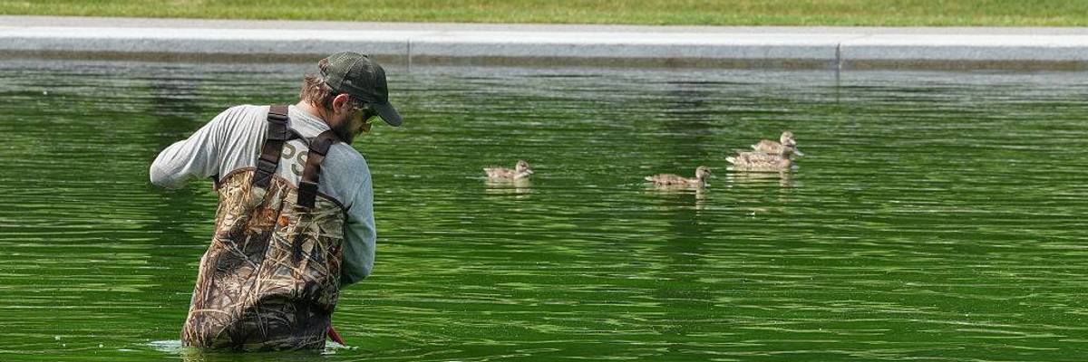 ‘Bad Day to Be a Duck’: Trump Reflecting Pool Disaster Continues With Hydrogen Peroxide Treatment