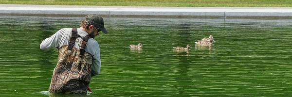 ‘Bad Day to Be a Duck’: Trump Reflecting Pool Disaster Continues With Hydrogen Peroxide Treatment