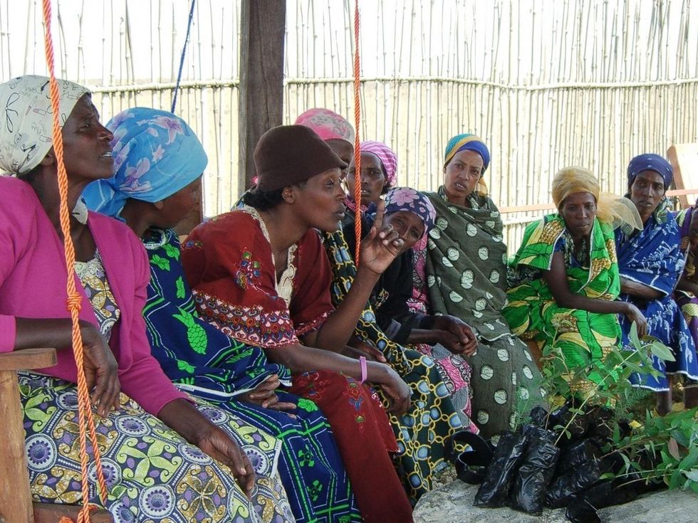 Neema Namadamu (third from left) leads a training in the Democractic Republic of Congo preparing women to plant local trees as part of reforestation and old growth protection efforts in the Itombwe rainforest. (Photo: WECAN International)