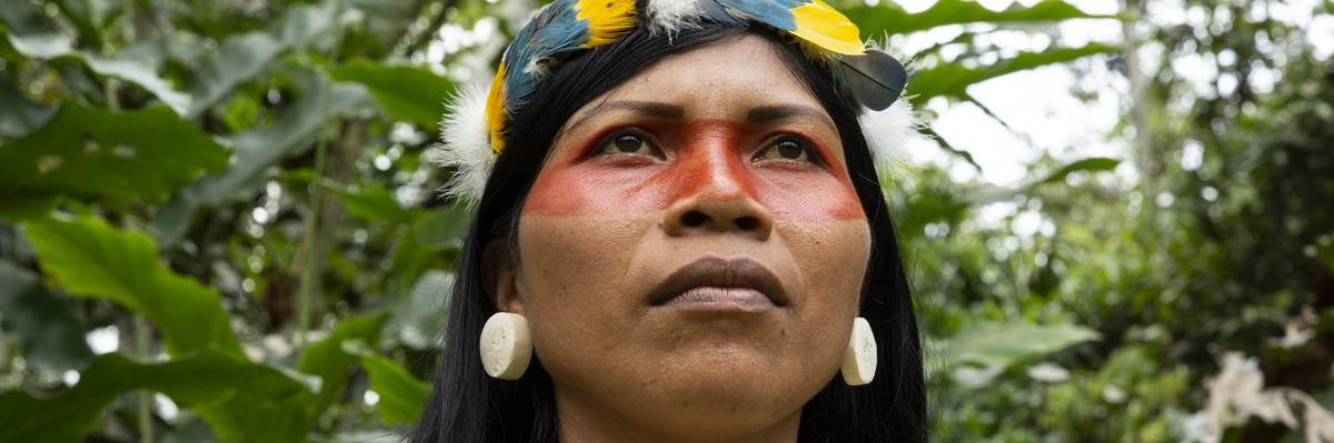 Top Positive Environmental Stories From 2020