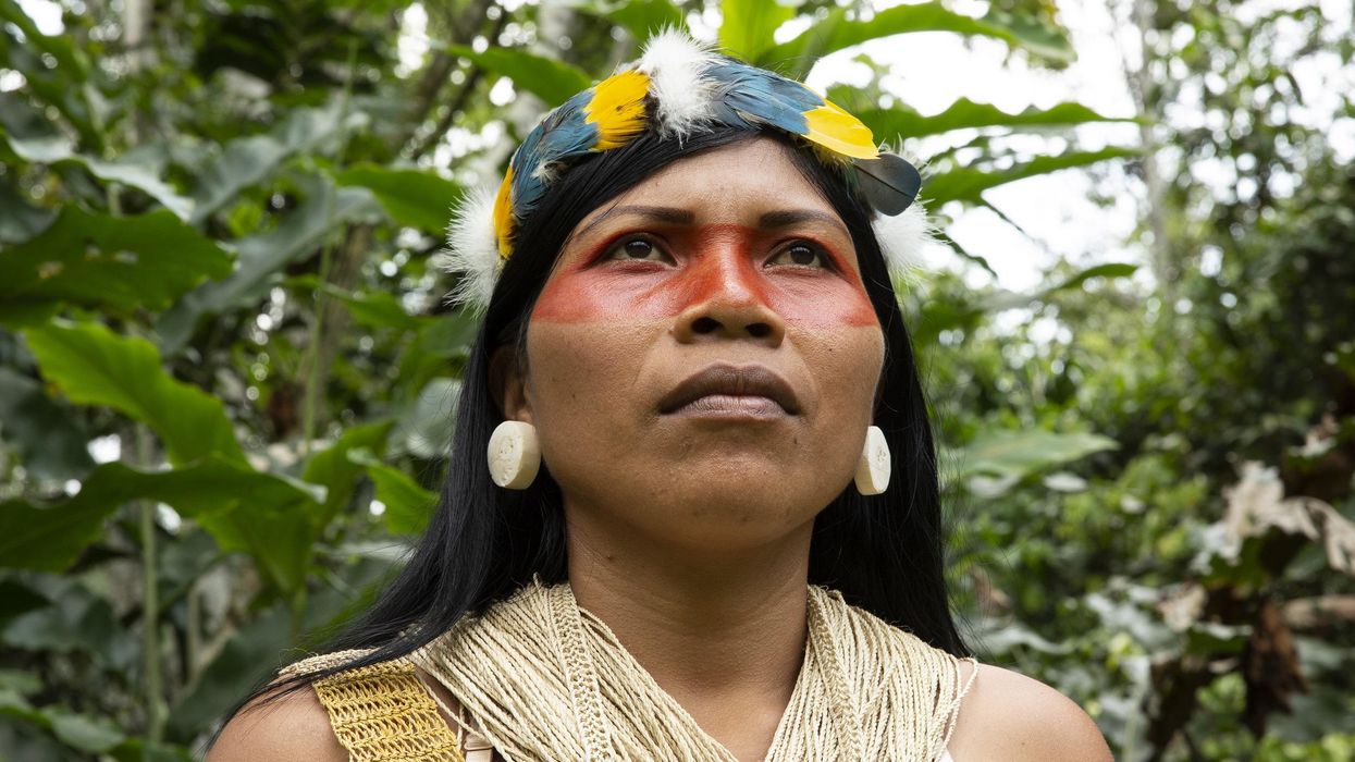 Top Positive Environmental Stories From 2020