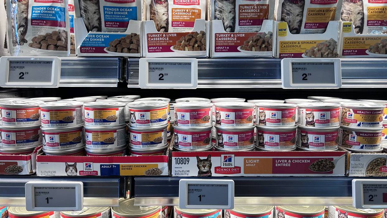 New Automated digital display price tags at Petco store, Manhattan, New York