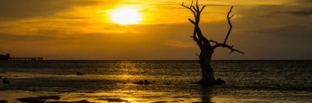 Concerns of 'Catastrophic Collapse' Grow as Gulf Stream Weaker Than It's Been in 1,600 Years