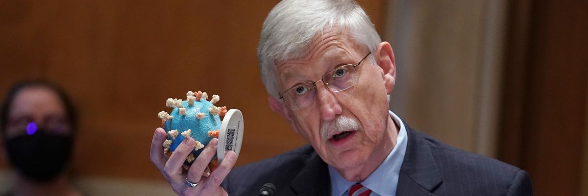 NIH Director Dr. Francis Collins speaks during a Senate hearing.