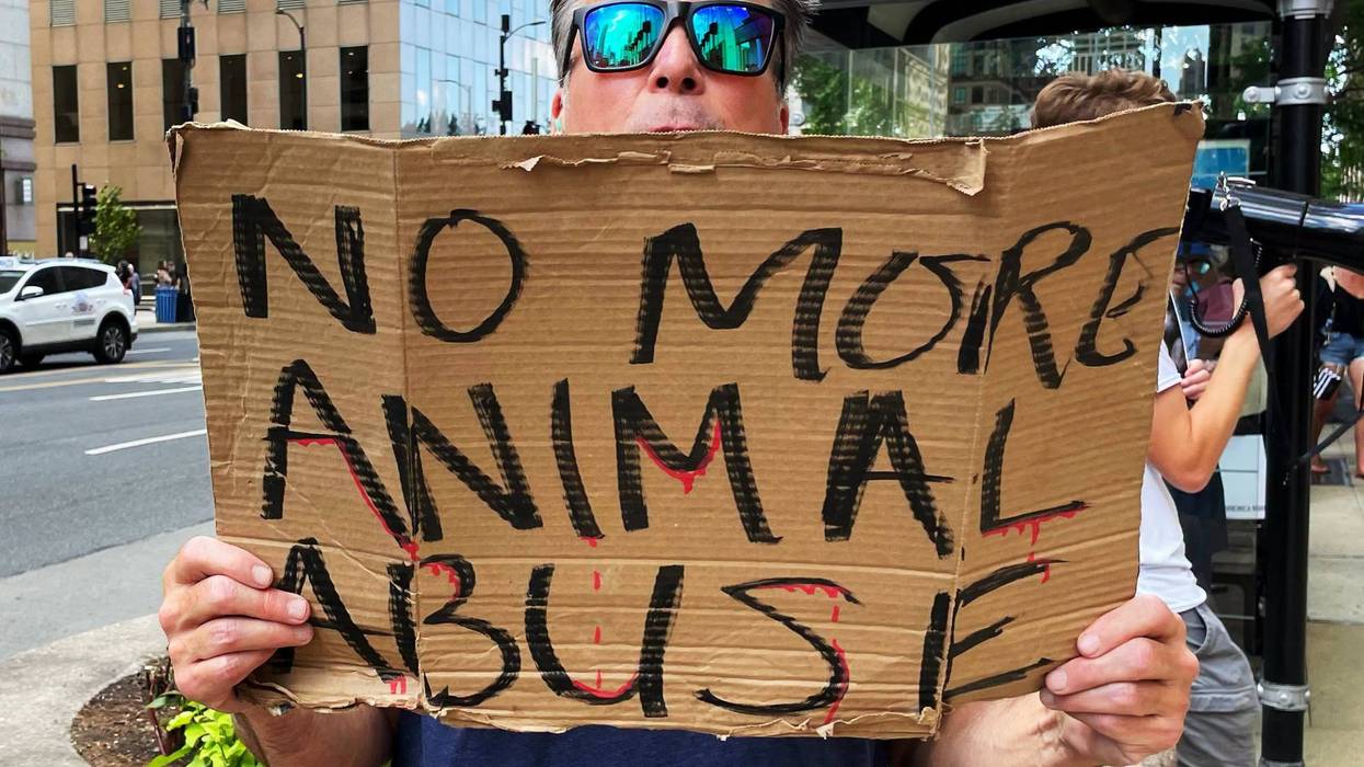 "No more animal abuse," sign says